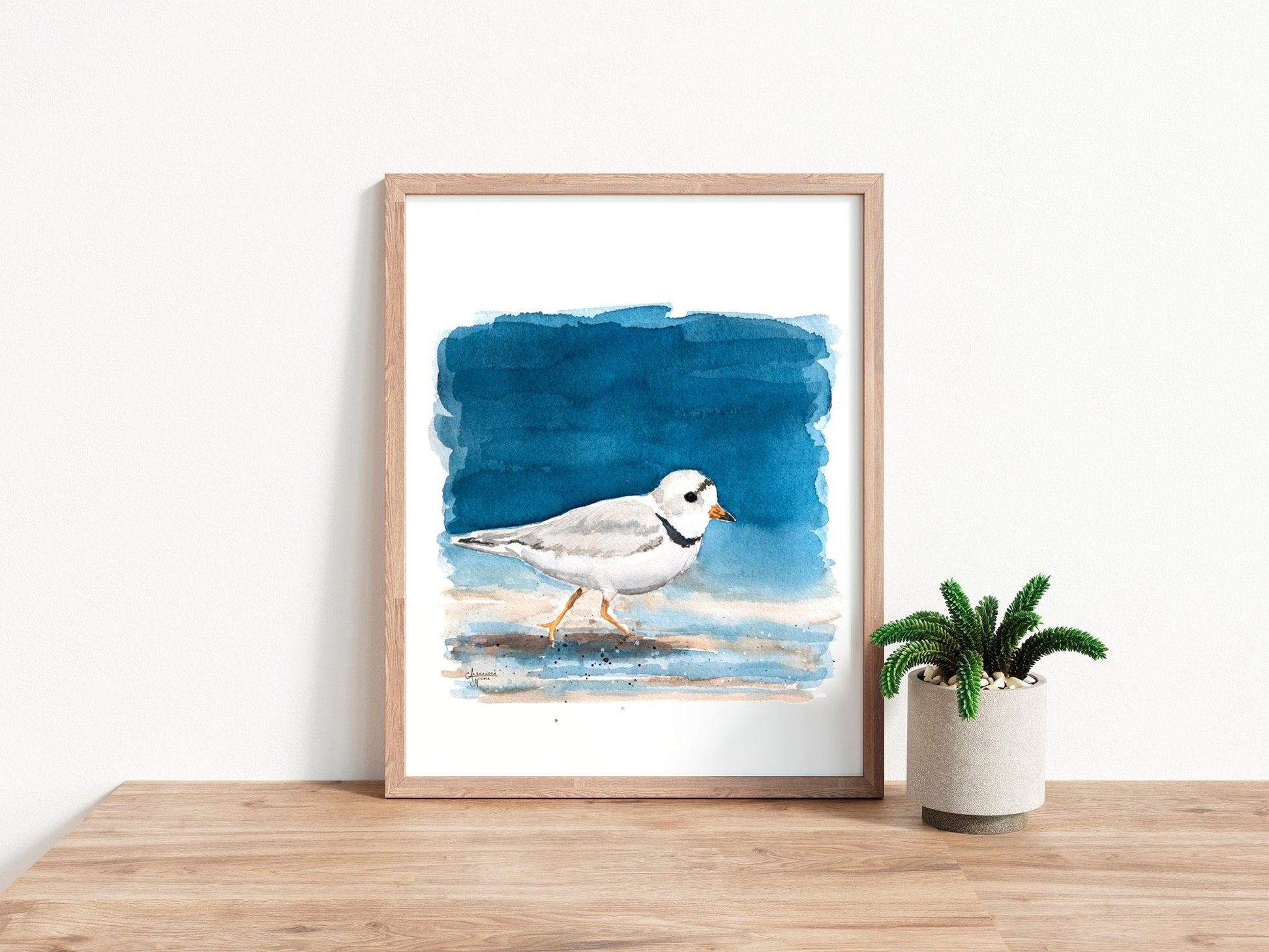 Shorebird Art Print Set: Red Knot, American Oyster Catcher, Piping Plover - ArtByAlexandraNicole