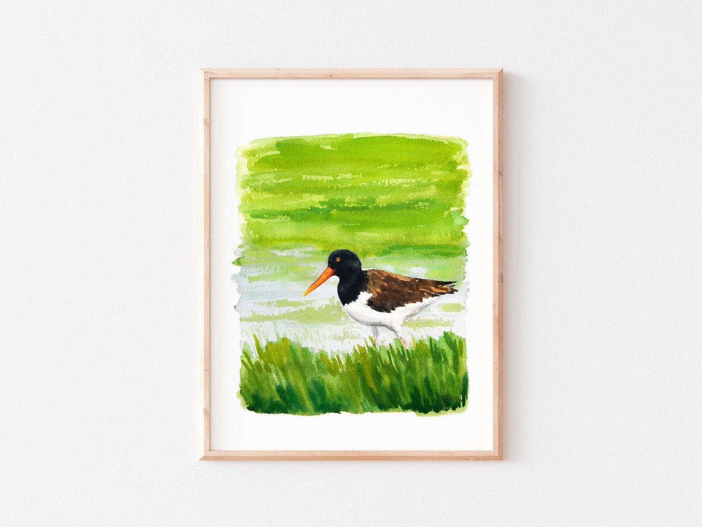 Shorebird Art Print Set: Red Knot, American Oyster Catcher, Piping Plover - ArtByAlexandraNicole