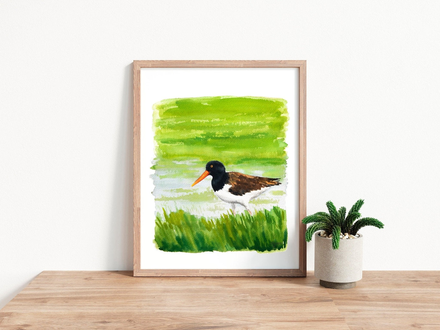 Shorebird Art Print Set: Red Knot, American Oyster Catcher, Piping Plover - ArtByAlexandraNicole