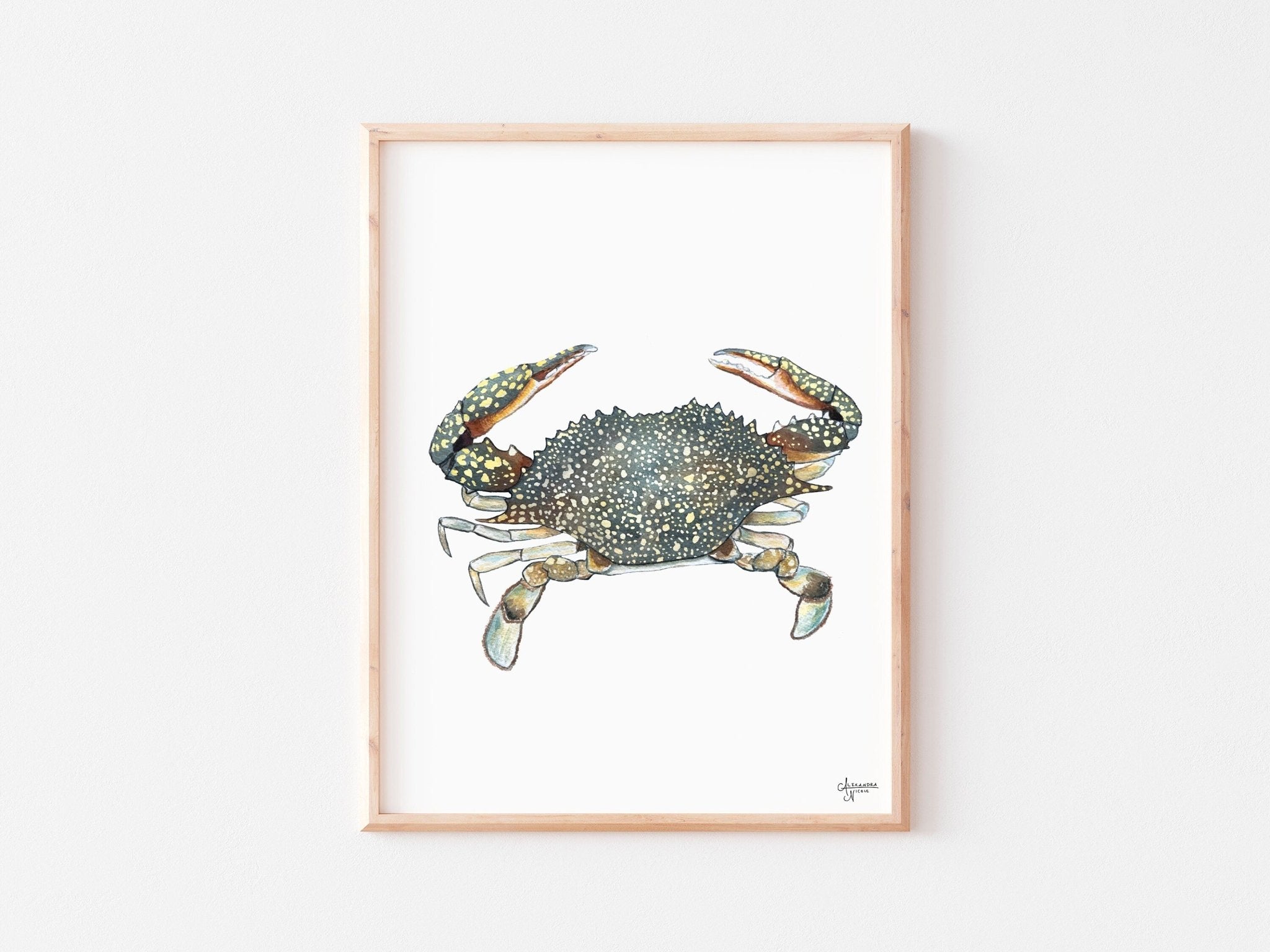 Shrimp and Crab Art Print Set - ArtByAlexandraNicole