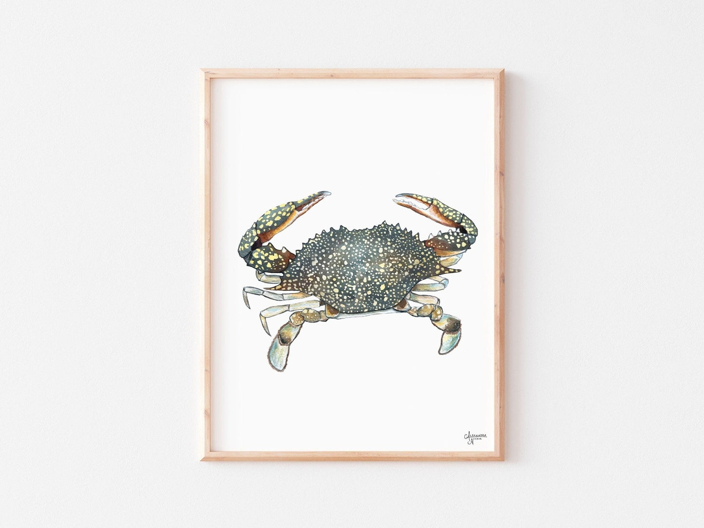 Shrimp and Crab Art Print Set - ArtByAlexandraNicole