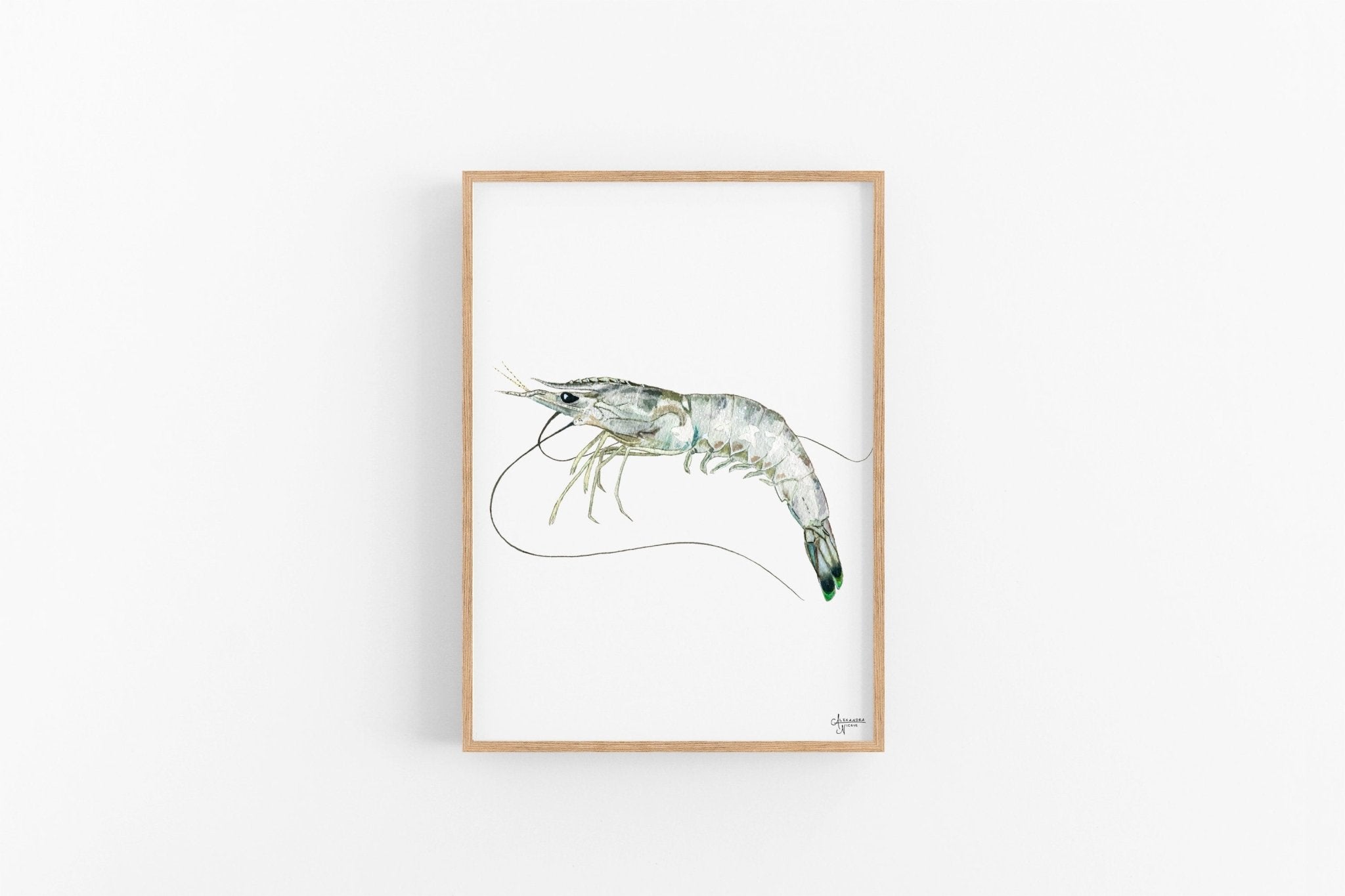 Shrimp and Crab Art Print Set - ArtByAlexandraNicole