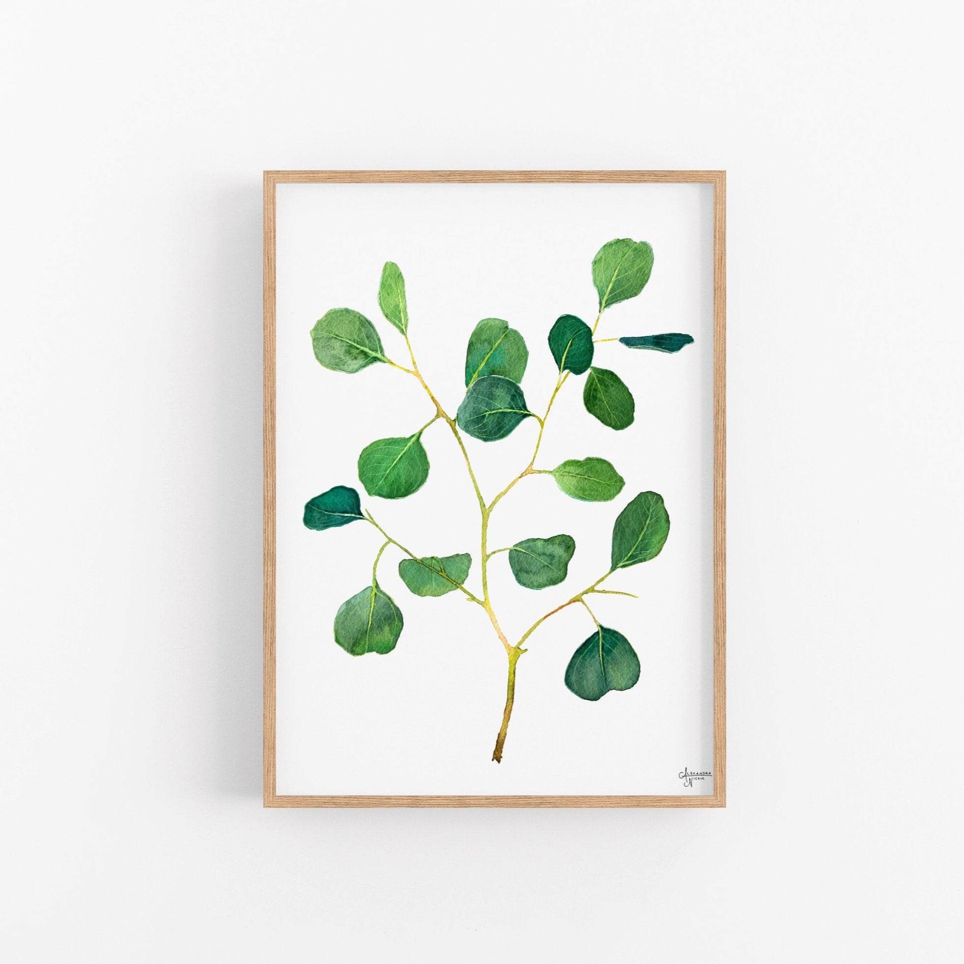 Silver Dollar Eucalyptus Print - ArtByAlexandraNicole