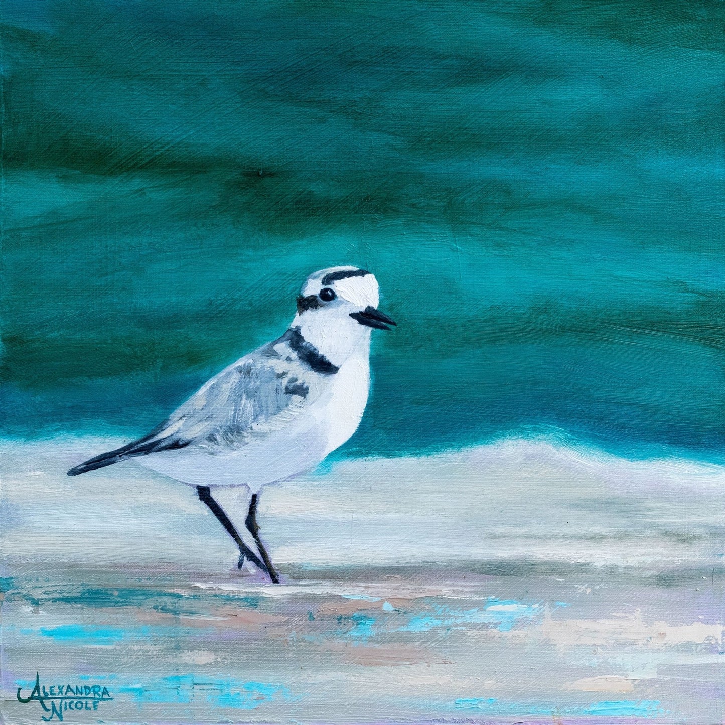 Snowy Plover Art Print - ArtByAlexandraNicole