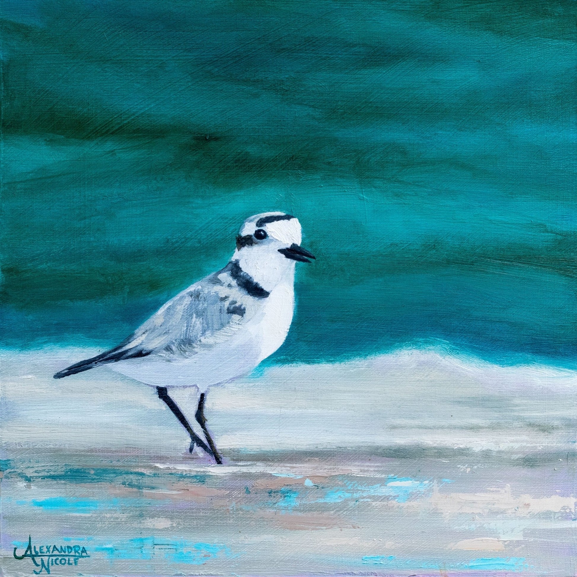 Snowy Plover Art Print - ArtByAlexandraNicole