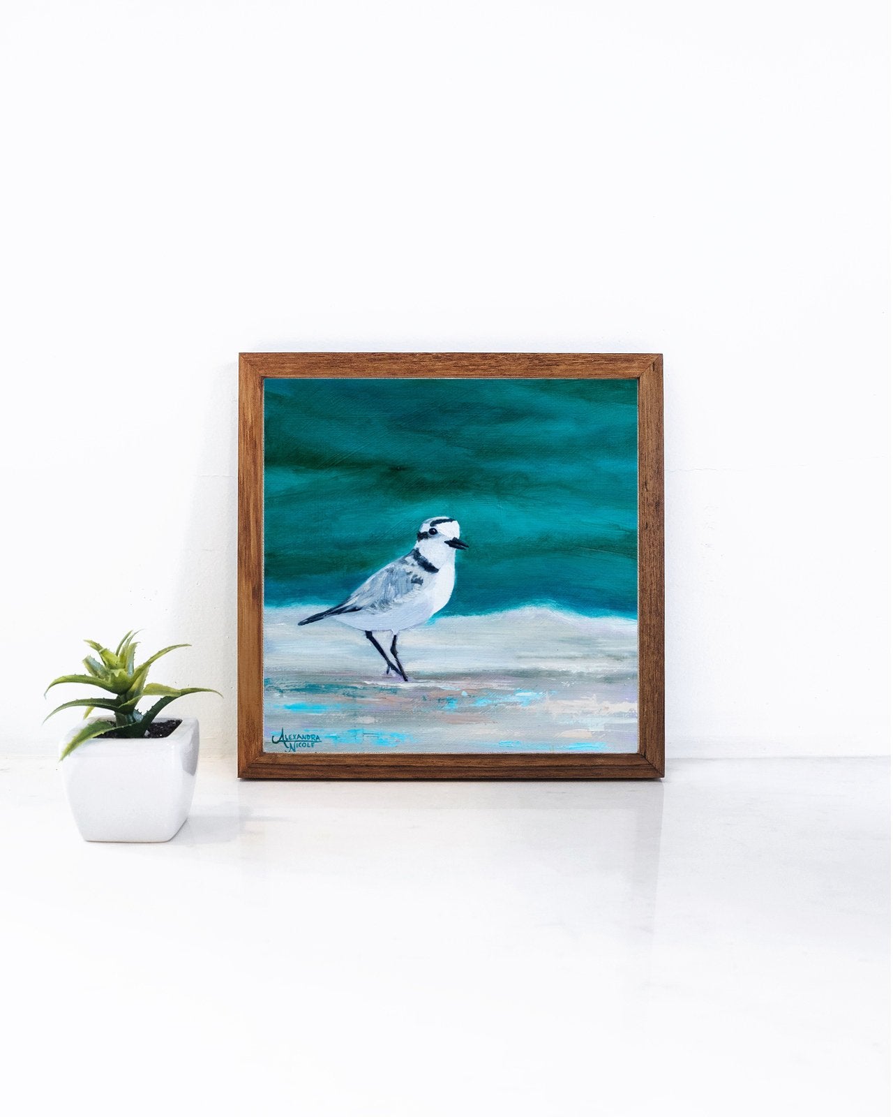 Snowy Plover Art Print - ArtByAlexandraNicole