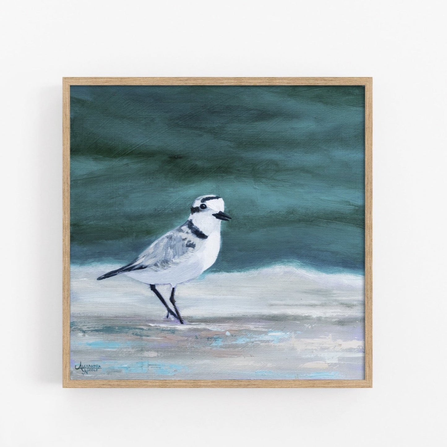 Snowy Plover Art Print - ArtByAlexandraNicole