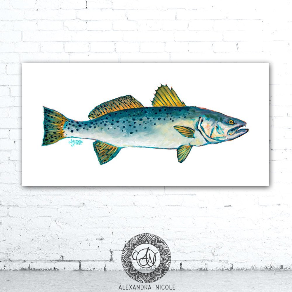 Speckled Trout Art Print - ArtByAlexandraNicole
