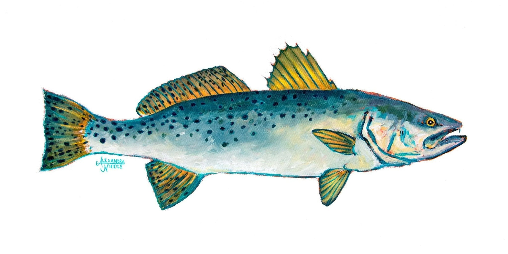 Speckled Trout Art Print - ArtByAlexandraNicole