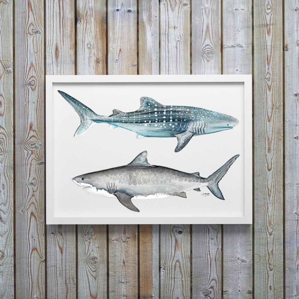 Tiger and Whale Shark Watercolor Art Print - ArtByAlexandraNicole