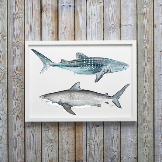 Tiger and Whale Shark Watercolor Art Print - ArtByAlexandraNicole