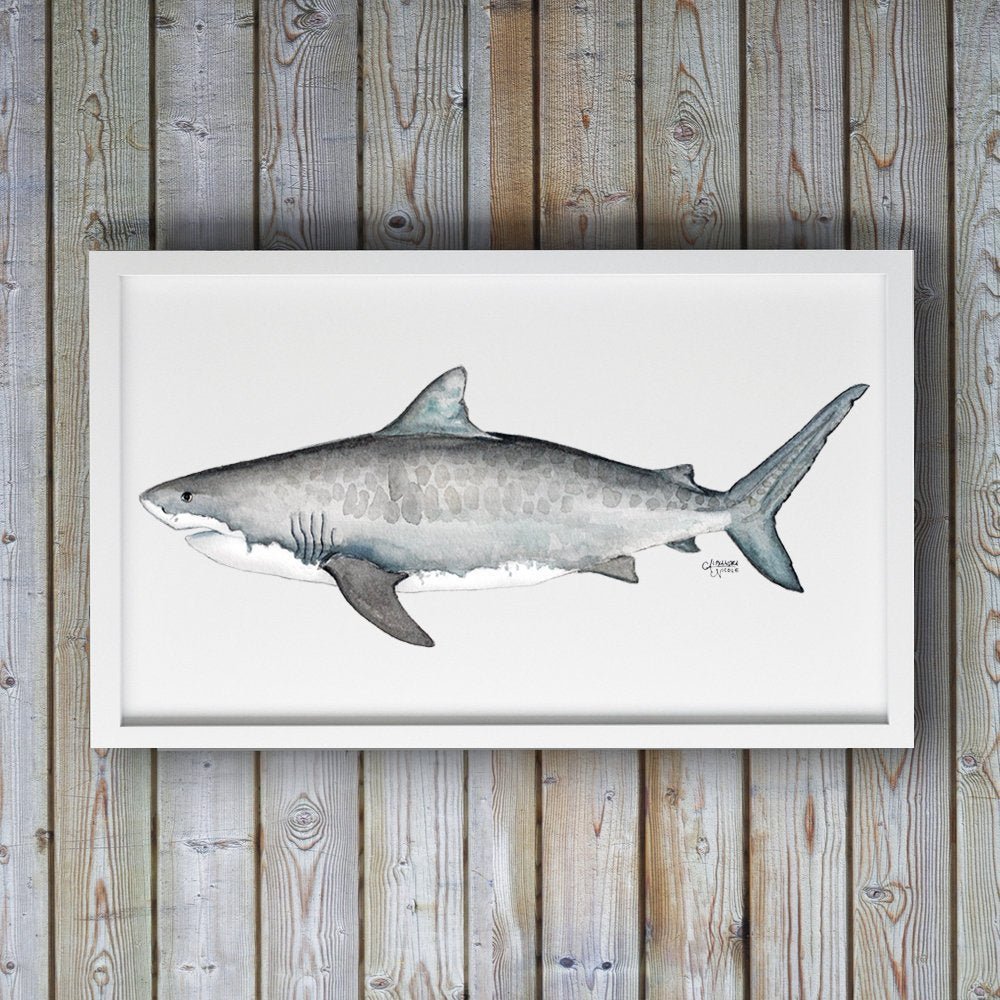 Tiger Shark Art Print - ArtByAlexandraNicole