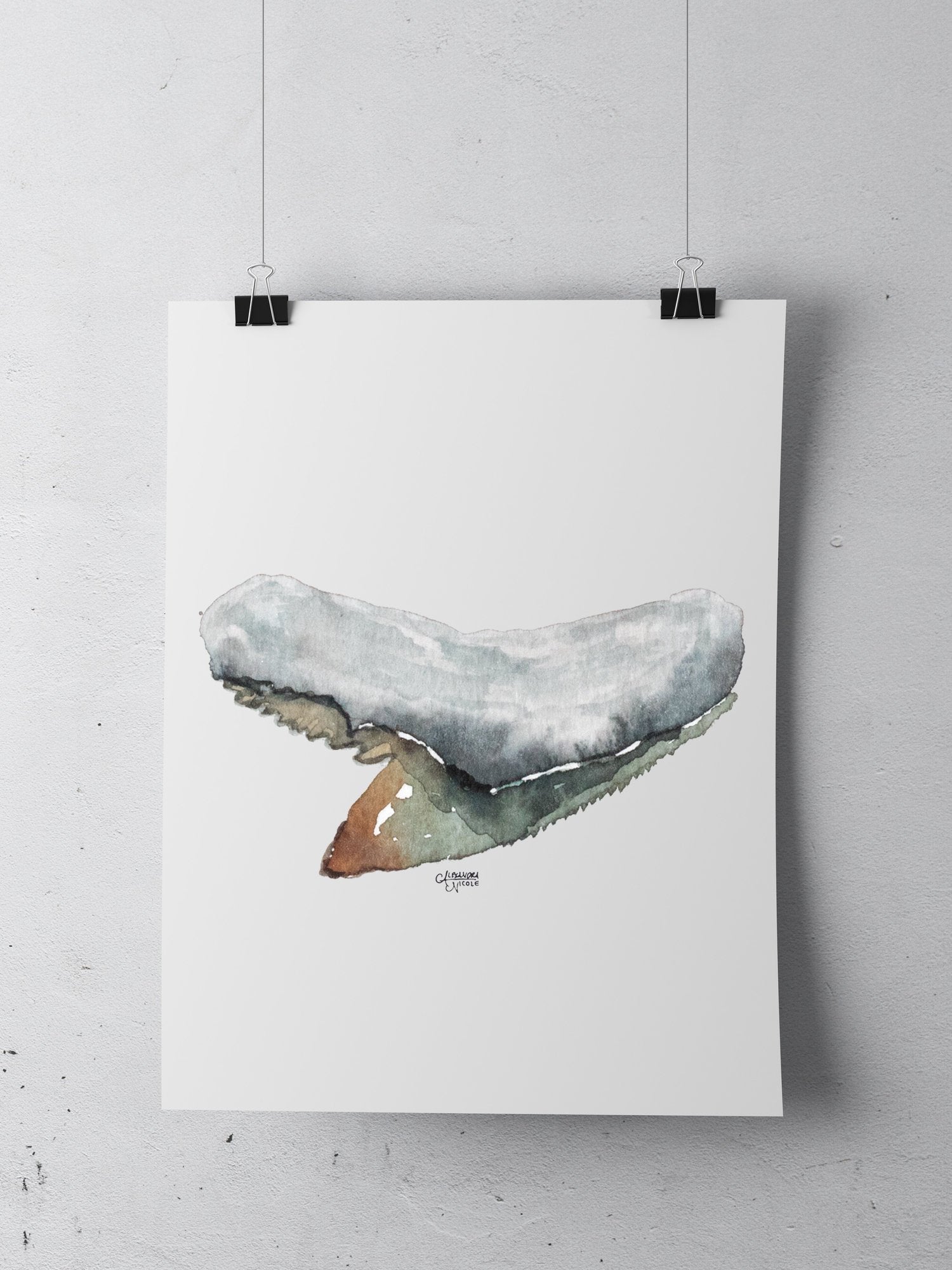 Tiger Shark Tooth Art Print - Shark Tooth No. 7 - ArtByAlexandraNicole
