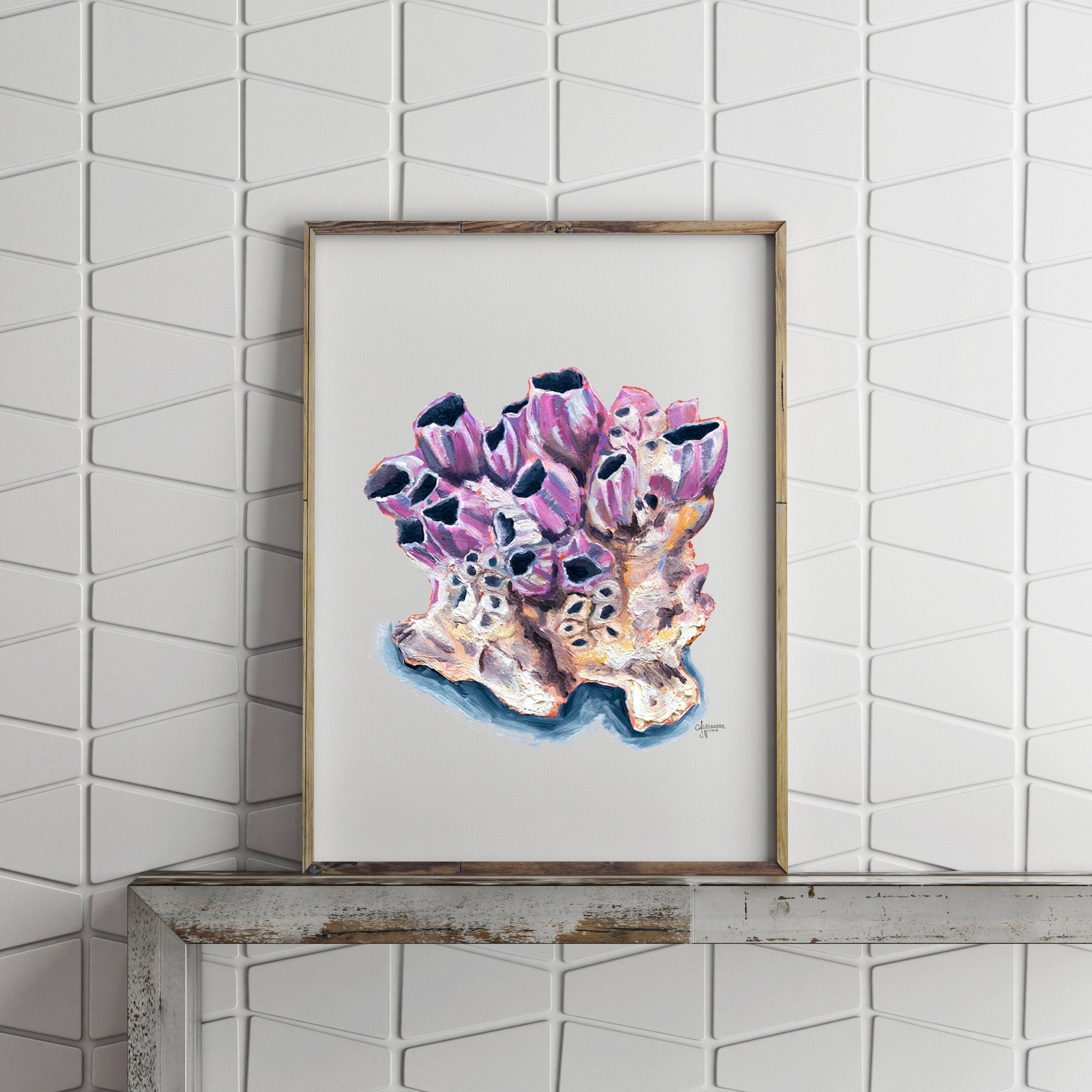 Titan Acorn Barnacle Shell Print - ArtByAlexandraNicole