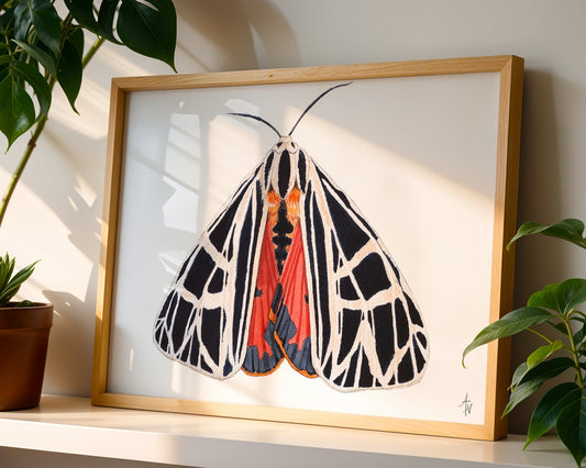Virgin Tiger Moth: Fine Art Entomology Print on Cold Press Watercolor Paper - ArtByAlexandraNicole