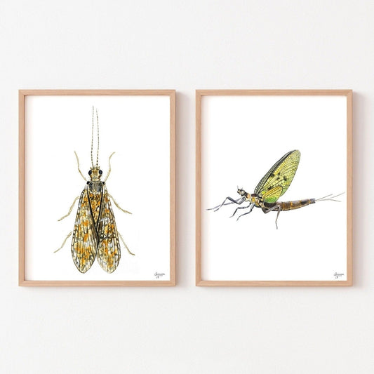 Watercolor Bug Art, Insect Artwork, Fly Fishing Artwork - ArtByAlexandraNicole