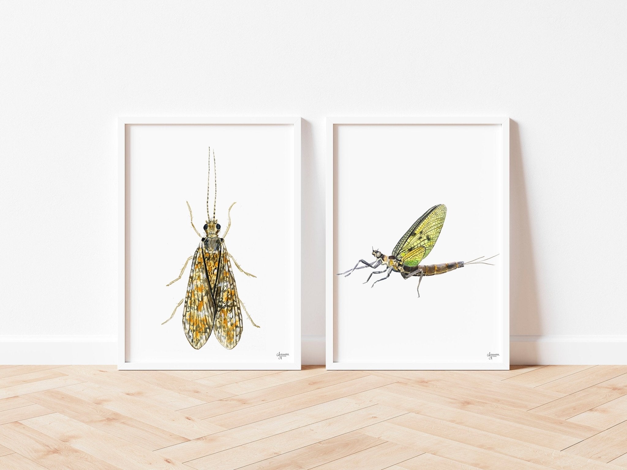 Watercolor Bug Art, Insect Artwork, Fly Fishing Artwork - ArtByAlexandraNicole