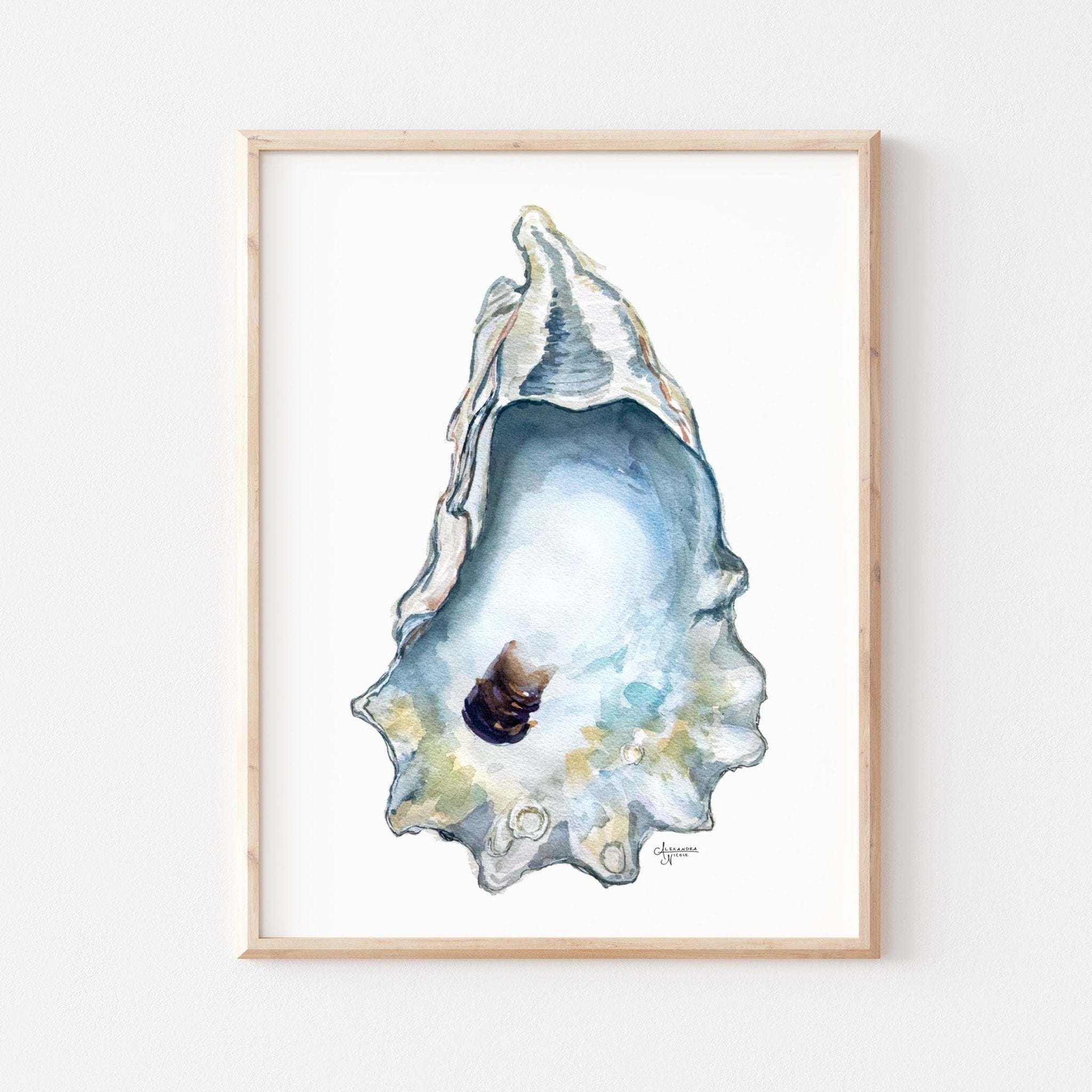 Watercolor Oyster Shell Fine Art Print, Title Great Dunes - ArtByAlexandraNicole