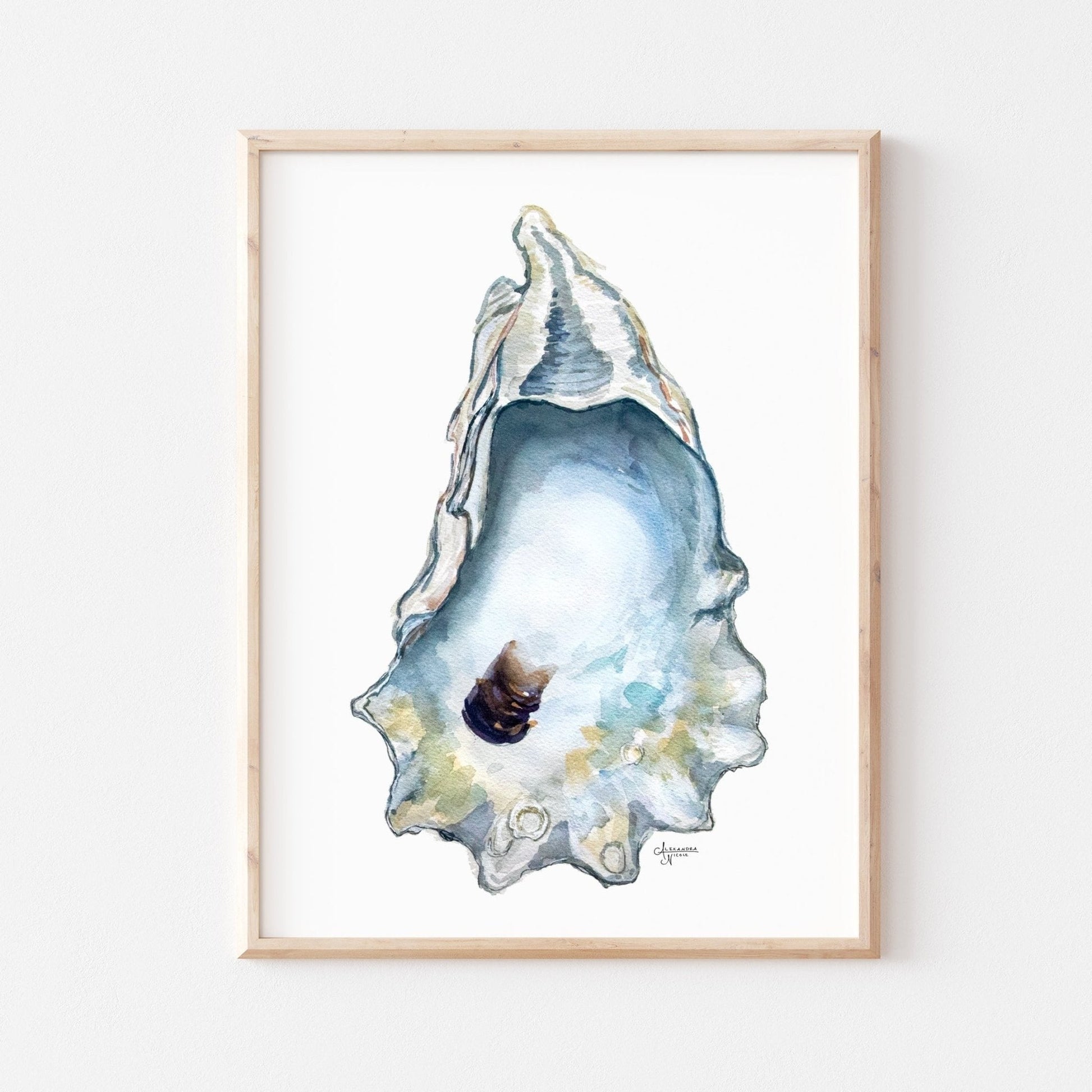 Watercolor Oyster Shell Fine Art Print, Title Great Dunes - ArtByAlexandraNicole