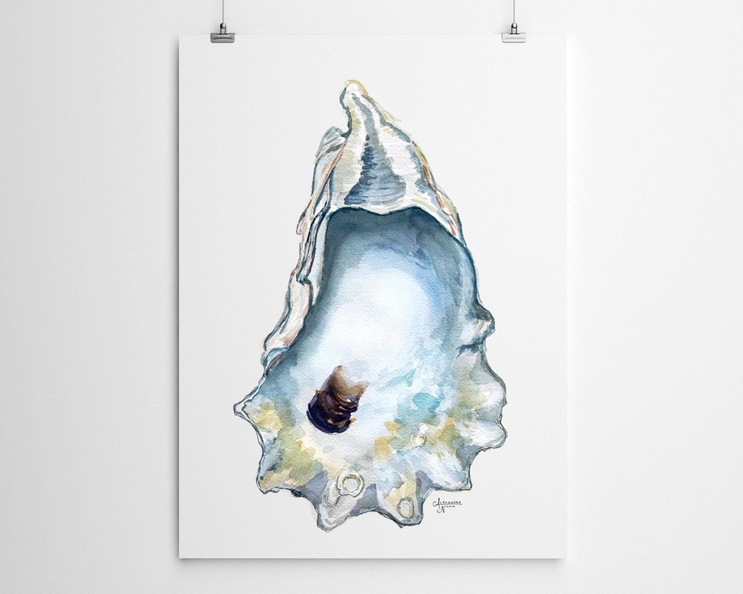 Watercolor Oyster Shell Fine Art Print, Title Great Dunes - ArtByAlexandraNicole