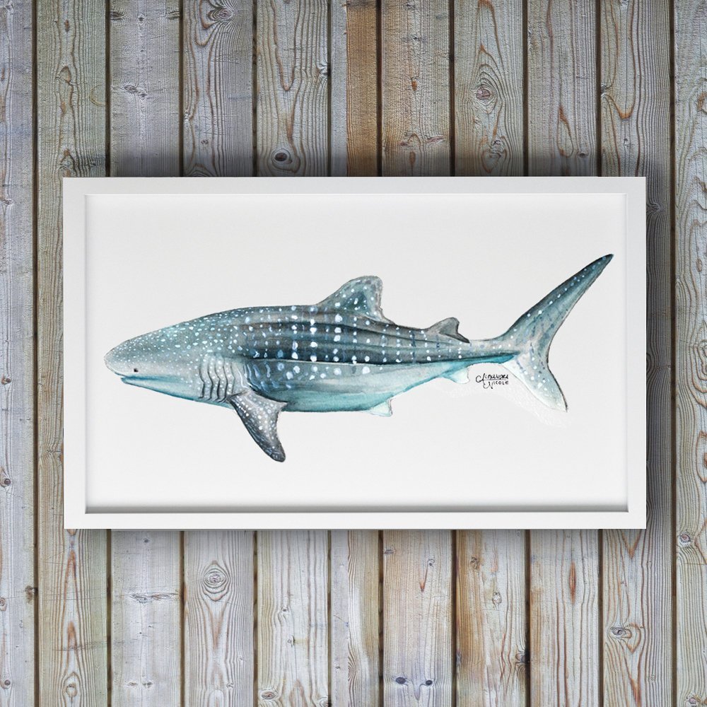 Whale Shark Art Print - ArtByAlexandraNicole