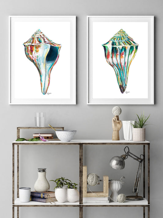 Whelk Sea Shell Duo Wall Art, Discounted Print Set - ArtByAlexandraNicole