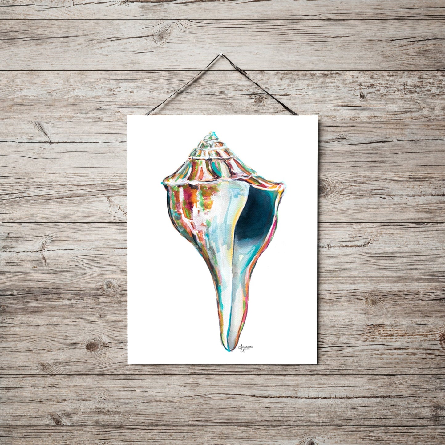 Whelk Sea Shell Watercolor Art Print, Whelk 2 - ArtByAlexandraNicole