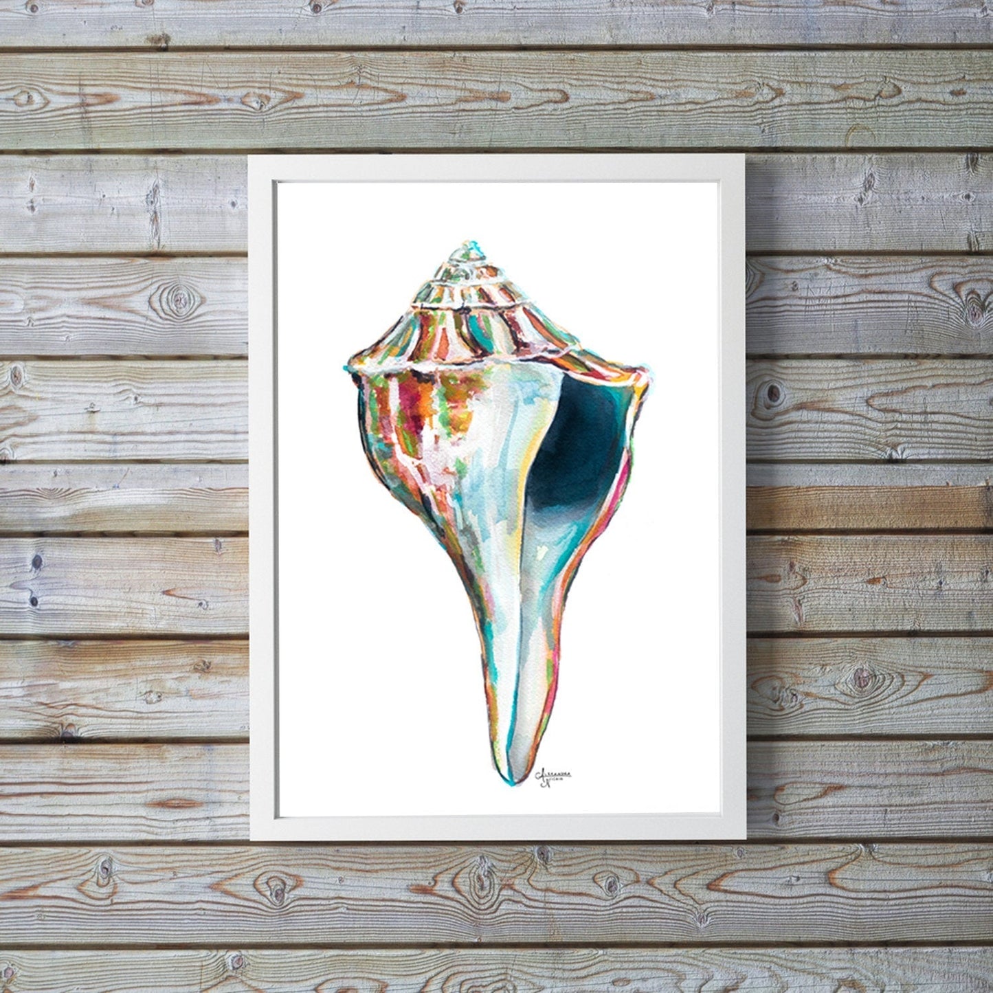 Whelk Sea Shell Watercolor Art Print, Whelk 2 - ArtByAlexandraNicole