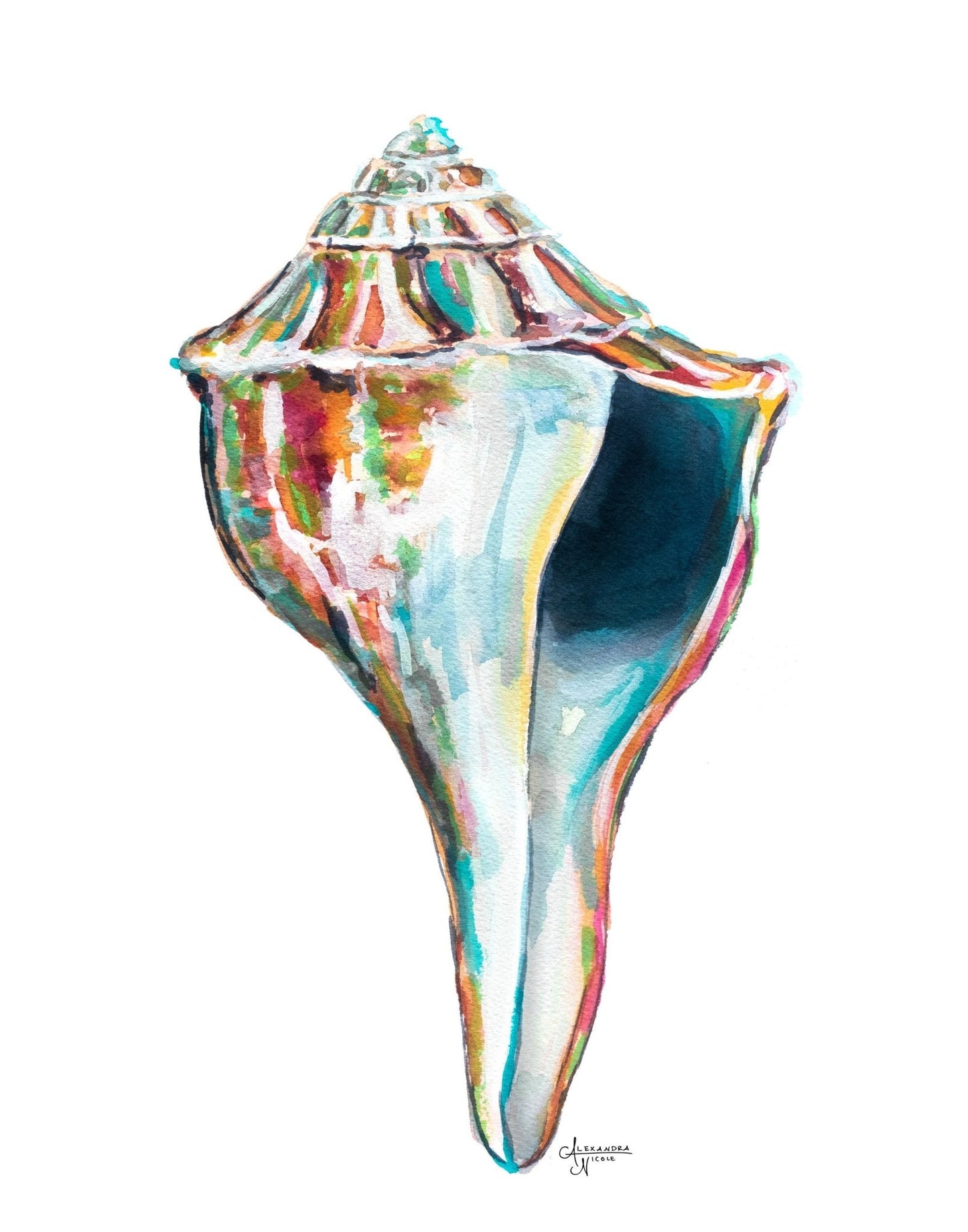 Whelk Sea Shell Watercolor Art Print, Whelk 2 - ArtByAlexandraNicole