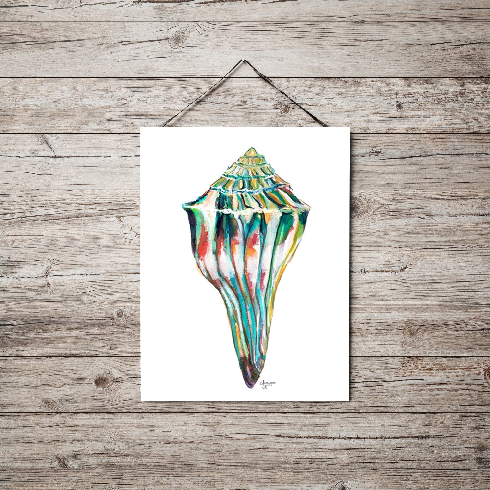 Whelk Shell Watercolor Art Print, Whelk 1 - ArtByAlexandraNicole