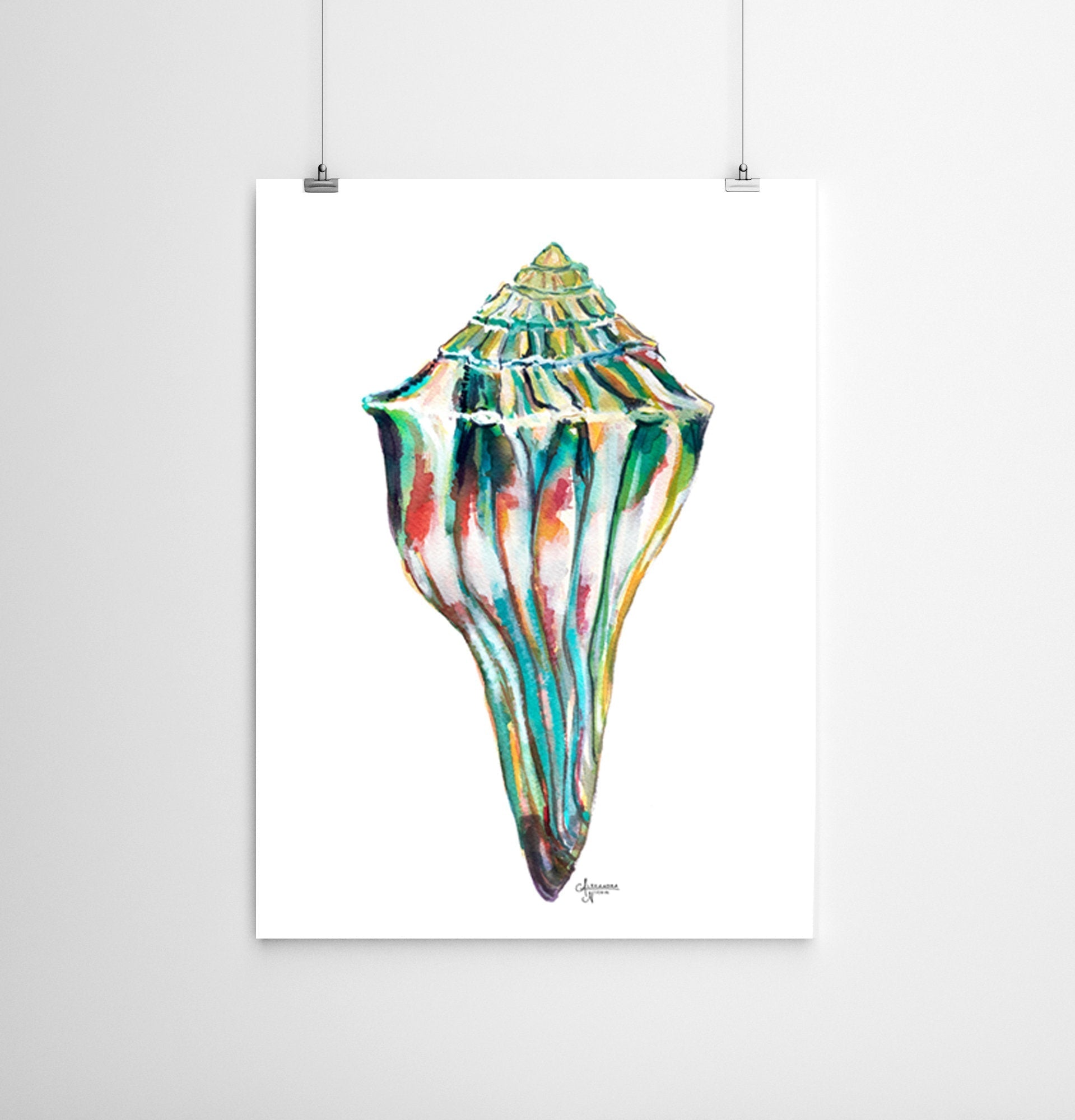 Whelk Shell Watercolor Art Print, Whelk 1 - ArtByAlexandraNicole