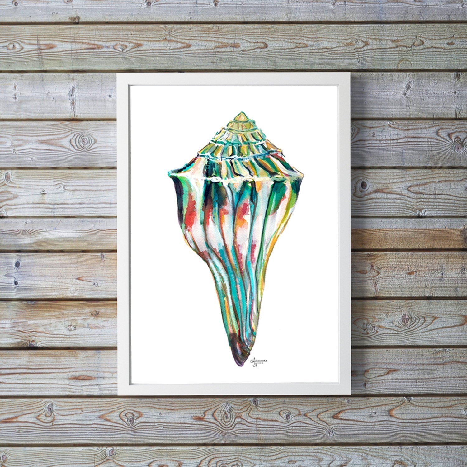 Whelk Shell Watercolor Art Print, Whelk 1 - ArtByAlexandraNicole