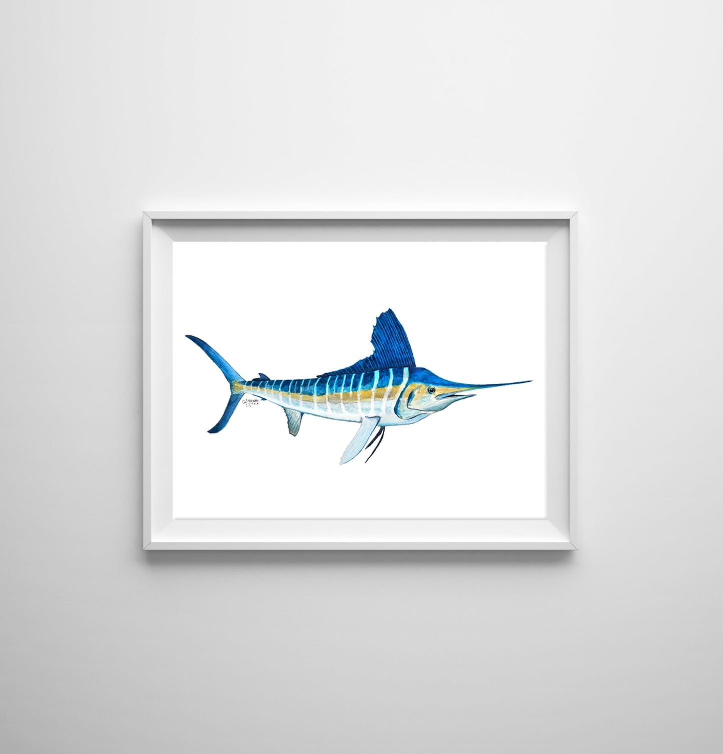 White Marlin Fish Watercolor Art Print, Fish Decor - ArtByAlexandraNicole