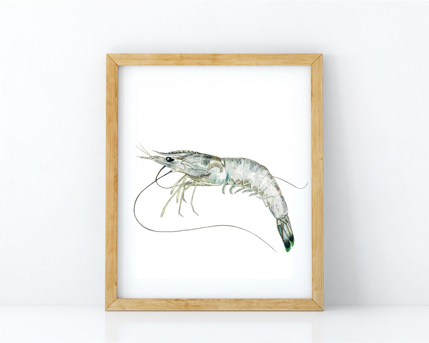 White Shrimp Watercolor Fine Art Print - ArtByAlexandraNicole