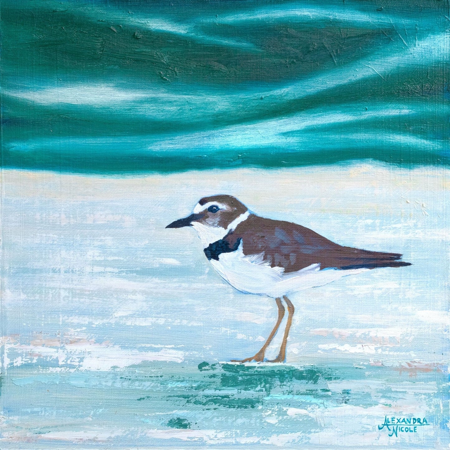 Wilson's Plover Art Print - ArtByAlexandraNicole