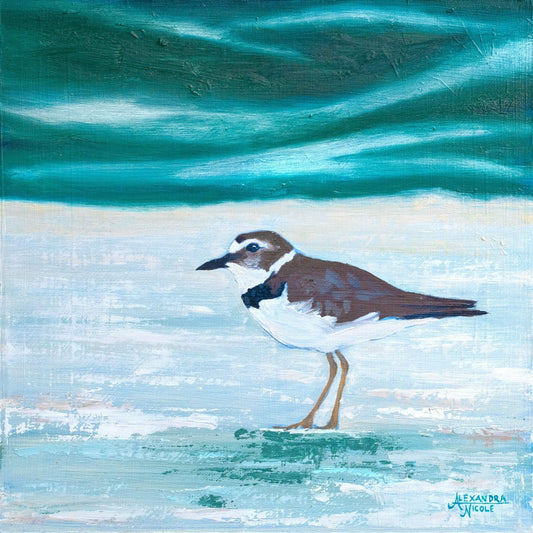 Wilson's Plover Art Print - ArtByAlexandraNicole
