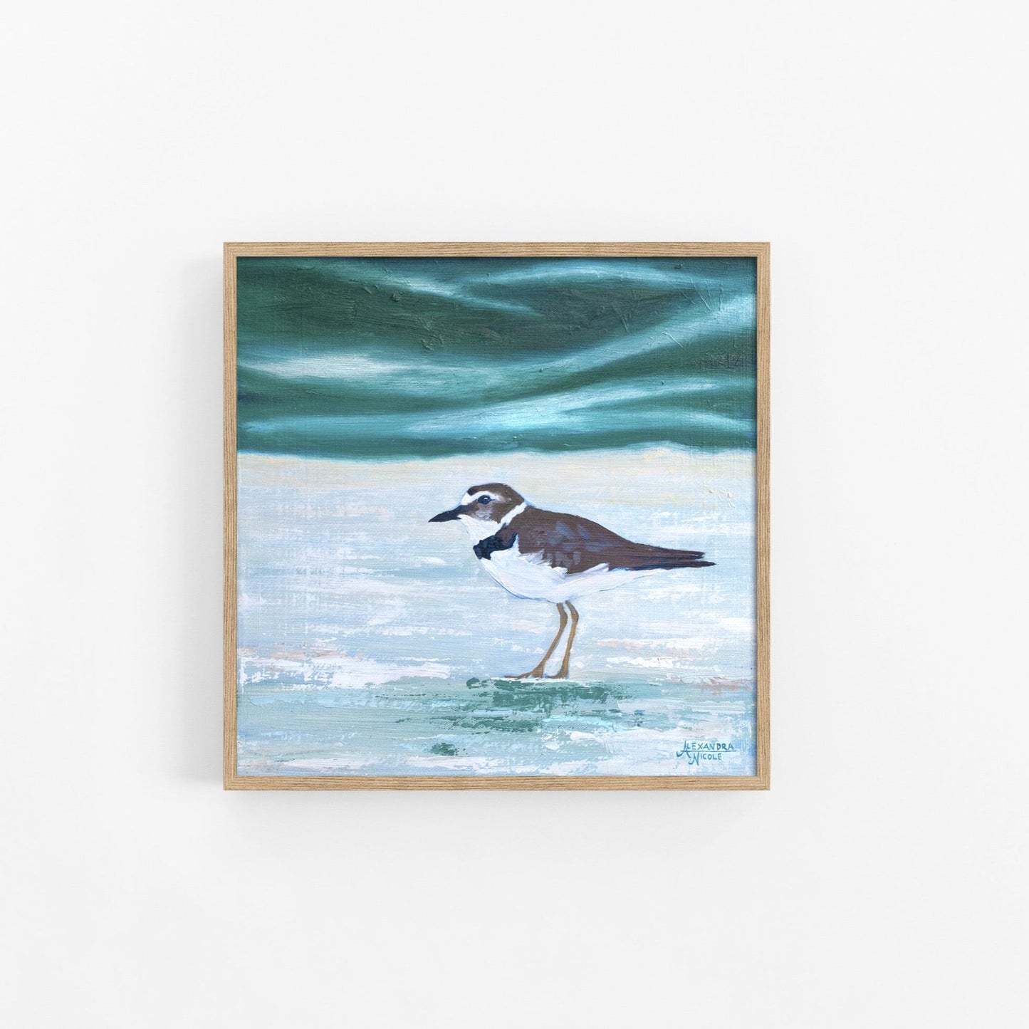 Wilson's Plover Art Print - ArtByAlexandraNicole