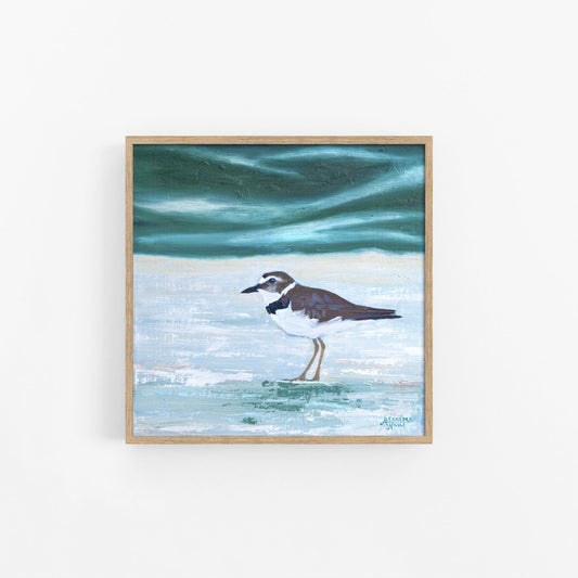 Wilson's Plover Art Print - ArtByAlexandraNicole