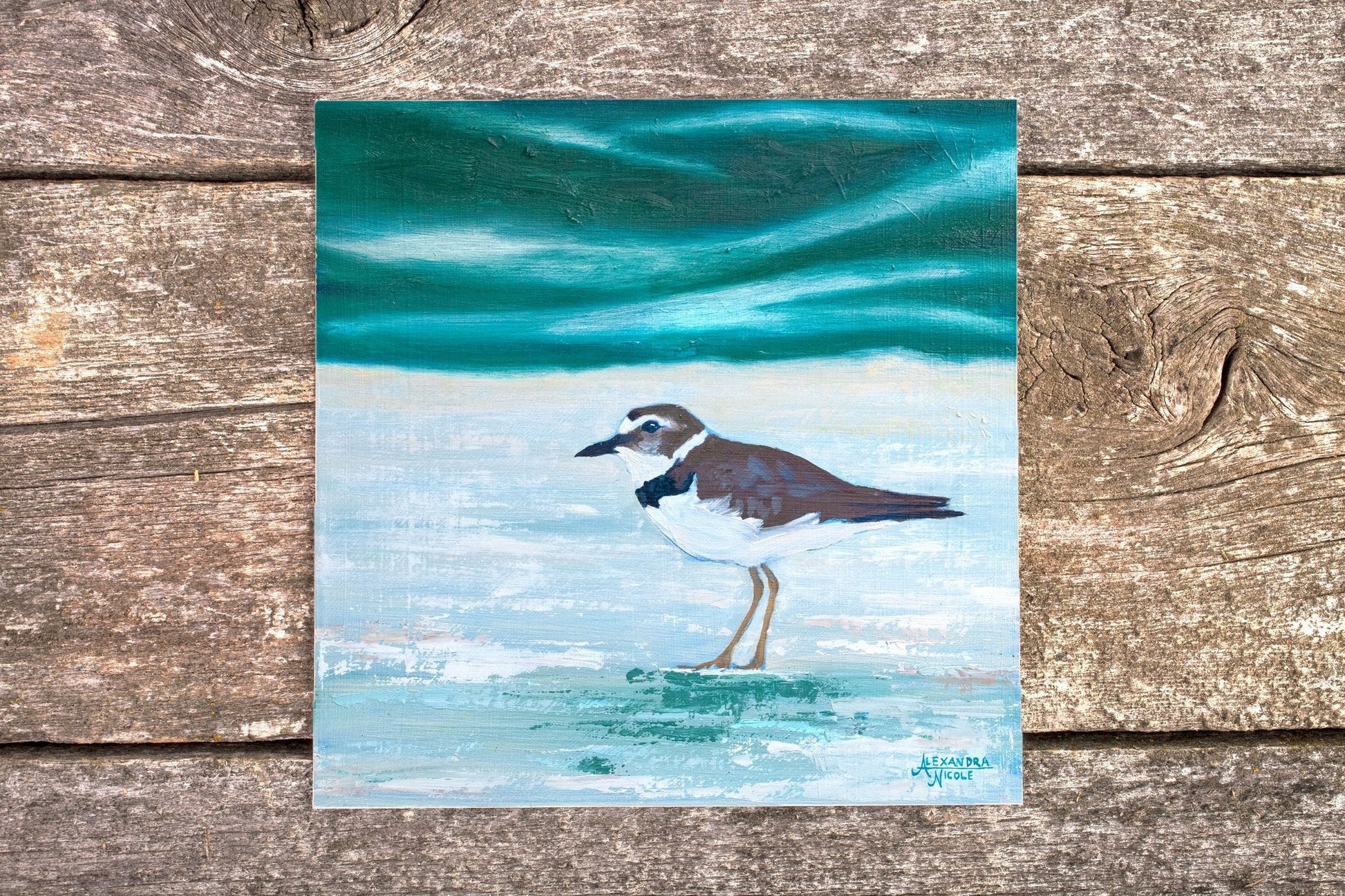 Wilson's Plover Art Print - ArtByAlexandraNicole