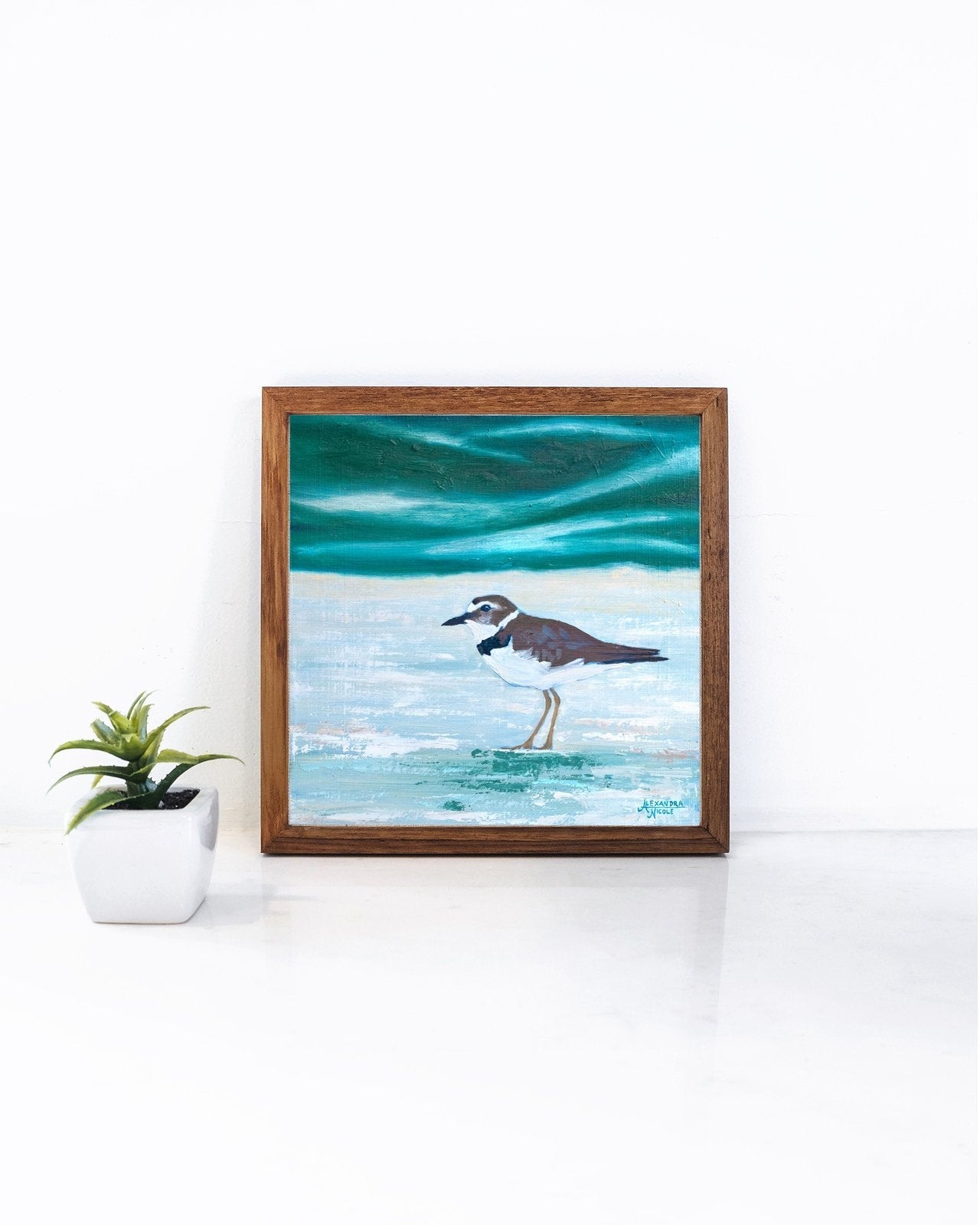 Wilson's Plover Art Print - ArtByAlexandraNicole