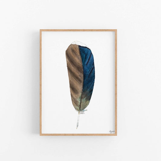 Wood Duck Feather 1, Brown Feather Print - ArtByAlexandraNicole