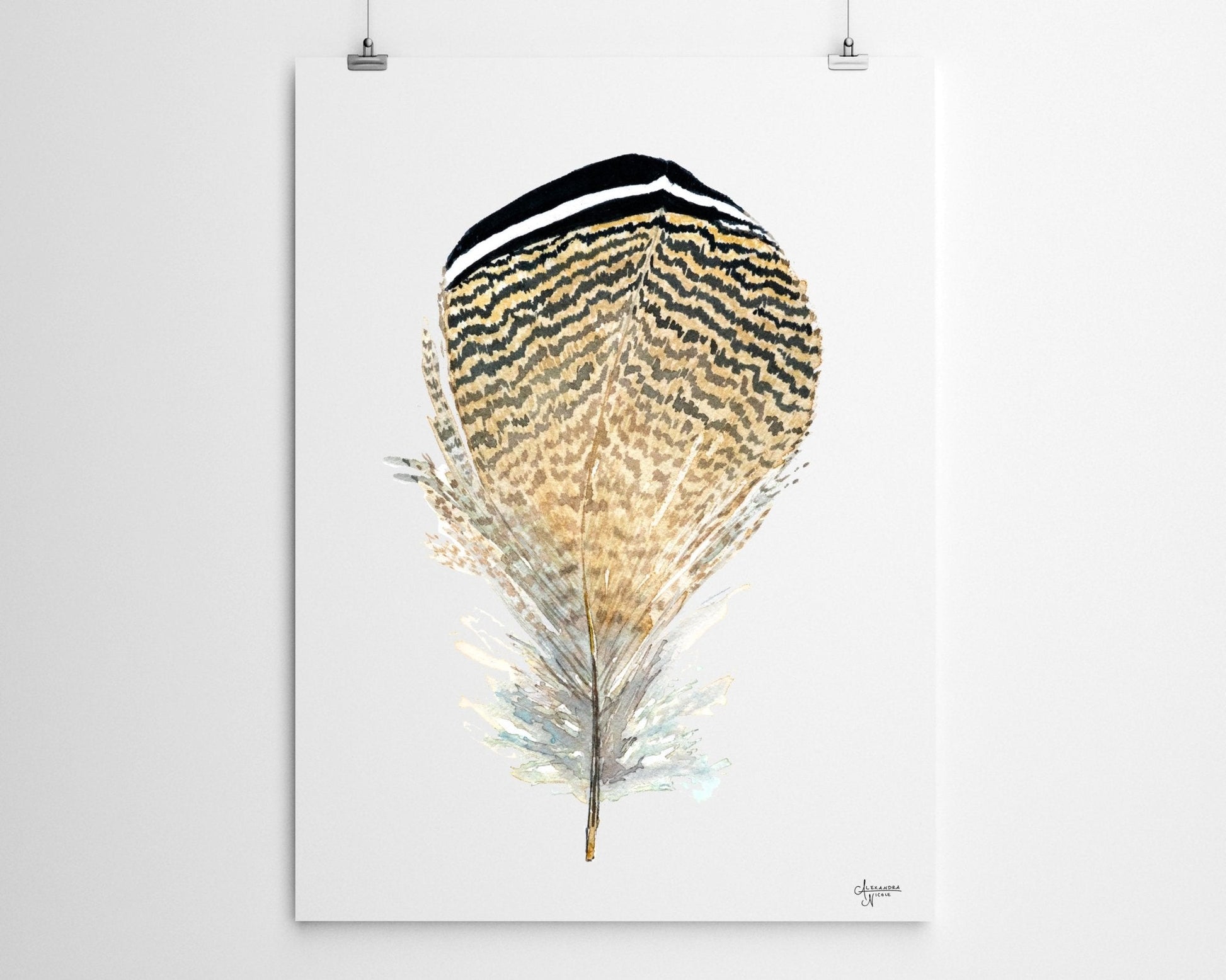 Wood Duck Feather Art Print - ArtByAlexandraNicole