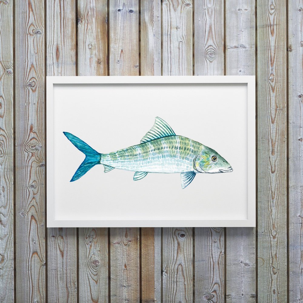 Bonefish Art Print - ArtByAlexandraNicole
