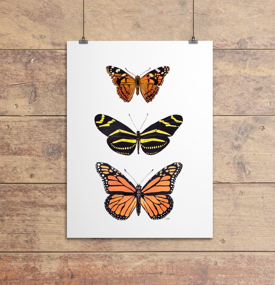 Butterfly Trio Print - ArtByAlexandraNicole