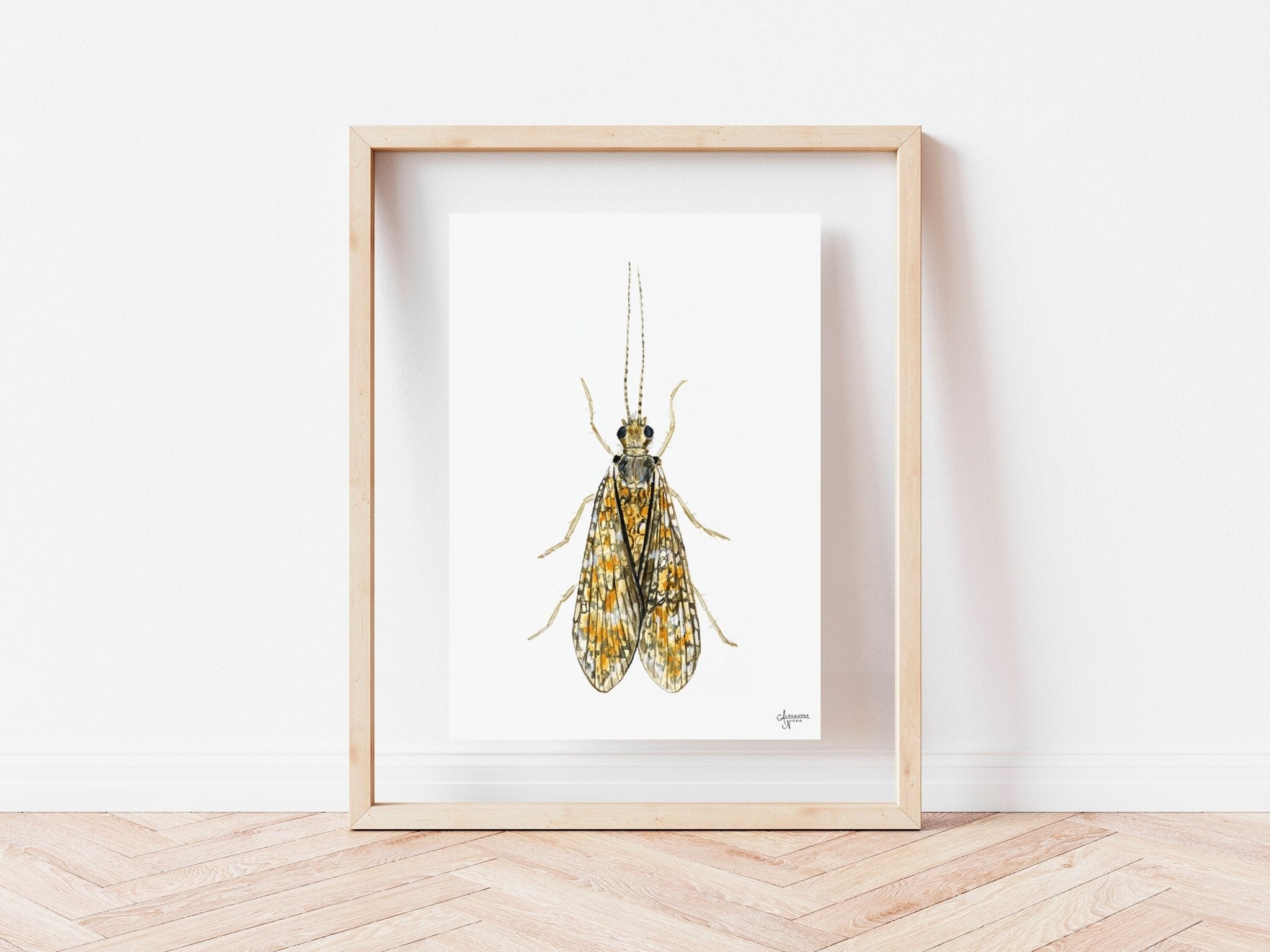 Caddisfly Watercolor Print, Insect Artwork, Fly Fishing Print, Trout Fishing Print - ArtByAlexandraNicole