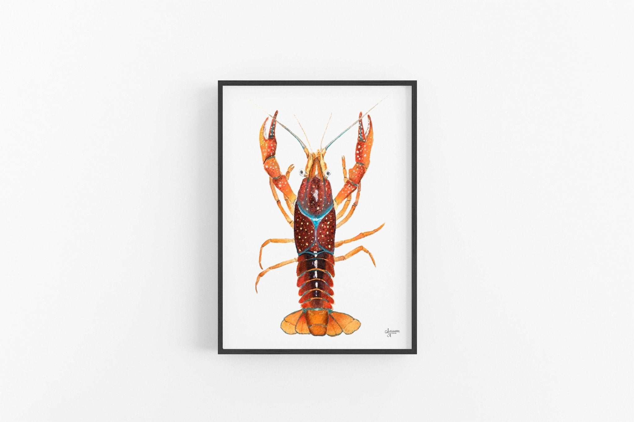 Crawfish Watercolor Print, Crawfish Art, Crawfish Print - ArtByAlexandraNicole