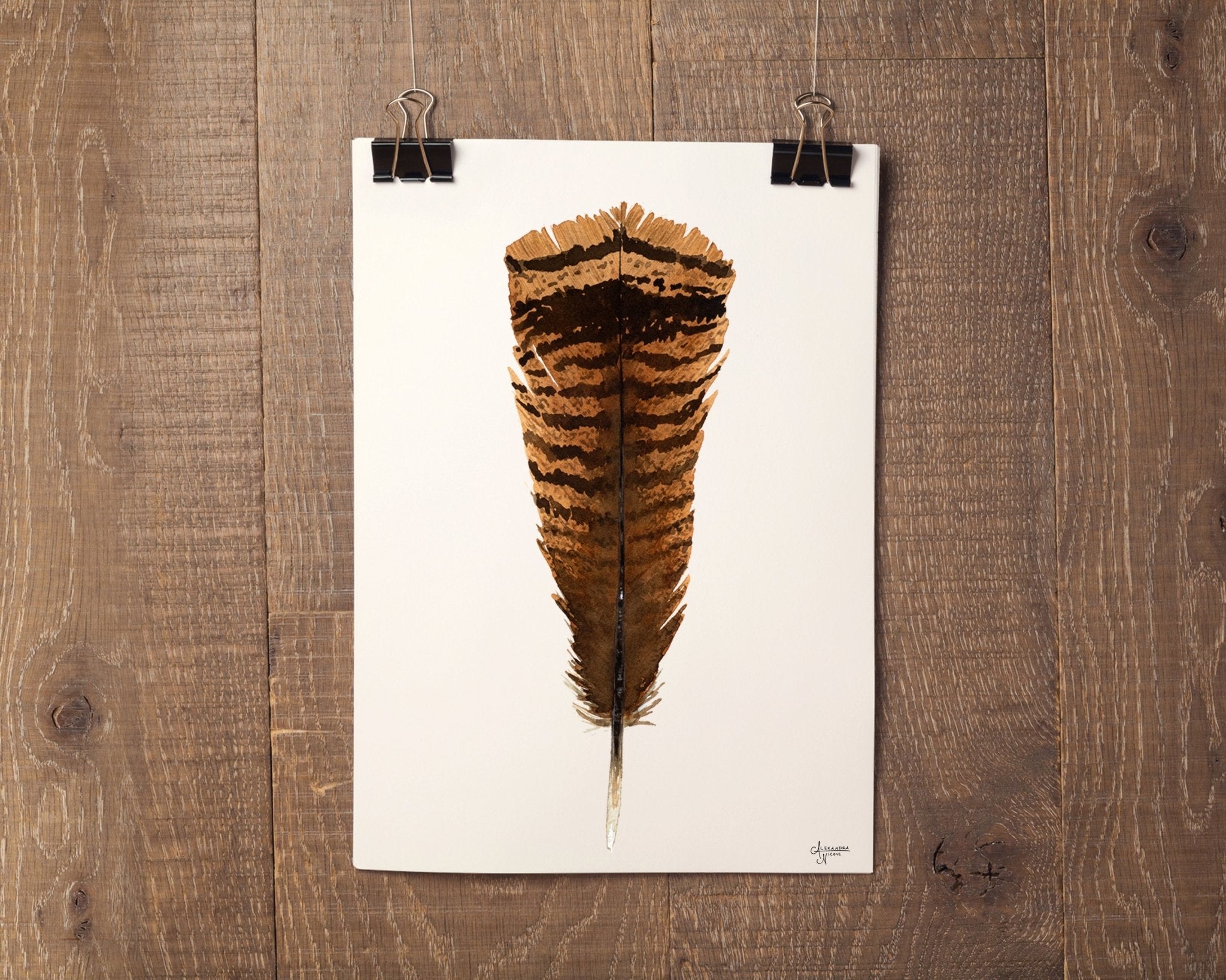 Eastern Wild Turkey Tail Feather Print - ArtByAlexandraNicole