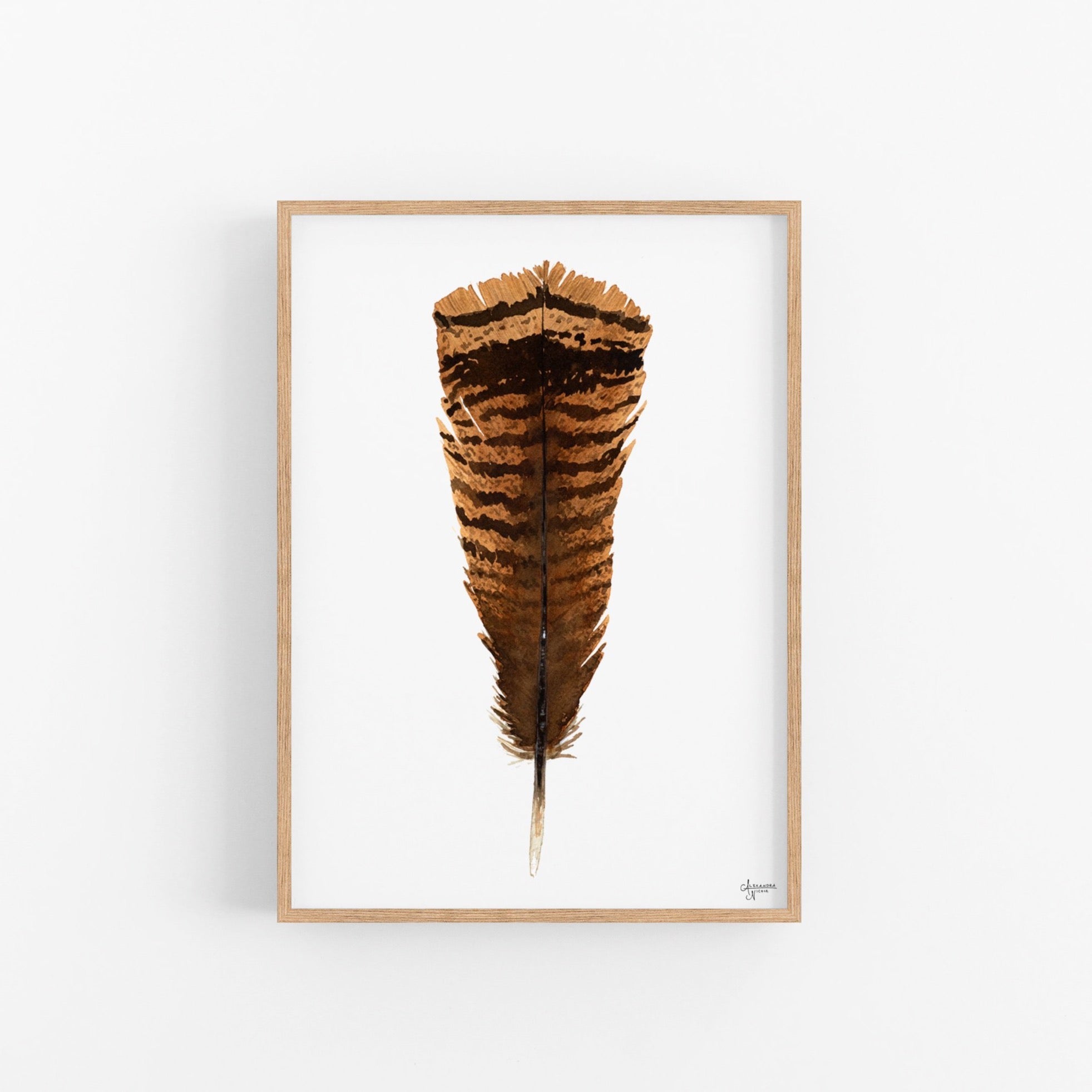 Eastern Wild Turkey Tail Feather Print - ArtByAlexandraNicole