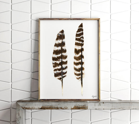 Eastern Wild Turkey Wing Feathers Print - ArtByAlexandraNicole