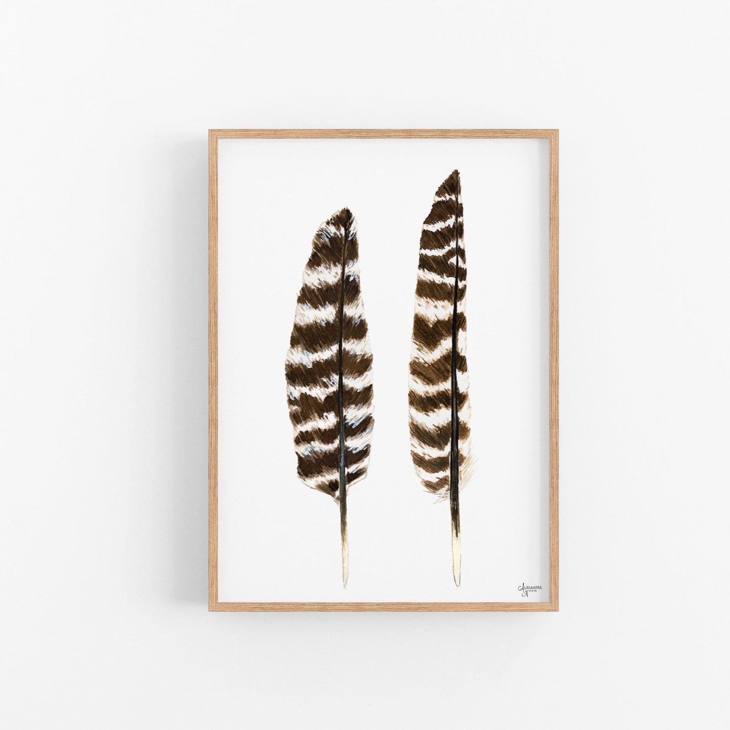 Eastern Wild Turkey Wing Feathers Print - ArtByAlexandraNicole